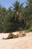 1x16_Outlaws_28.jpg