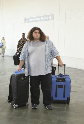 Cliquez pour voir l'image en taille relle