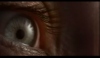 fogtrailer02.jpg