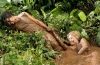 Nom du fichier : leftbehindpromo2.jpg
Poids du fichier : 487Ko
Dimensions : 1470x959
Ajouté le : Avr 05, 2007 leftbehindpromo2.jpg