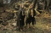 lotr5.jpg